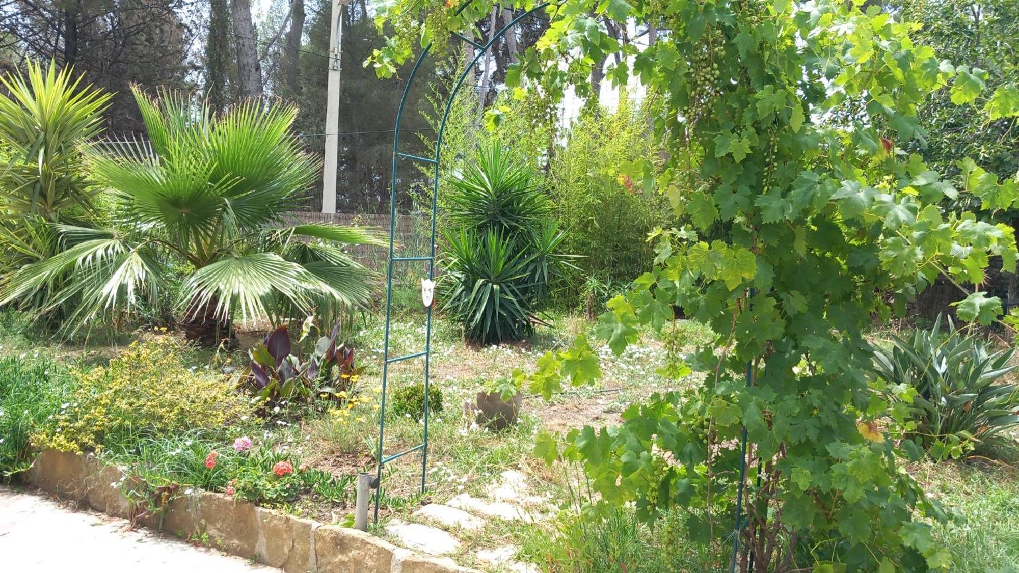 Villa Magali Grande Terrasse Vue Mer, Jardin, Proche Port Λα Σιοτά Εξωτερικό φωτογραφία
