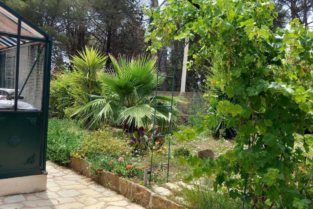 Villa Magali Grande Terrasse Vue Mer, Jardin, Proche Port Λα Σιοτά Εξωτερικό φωτογραφία