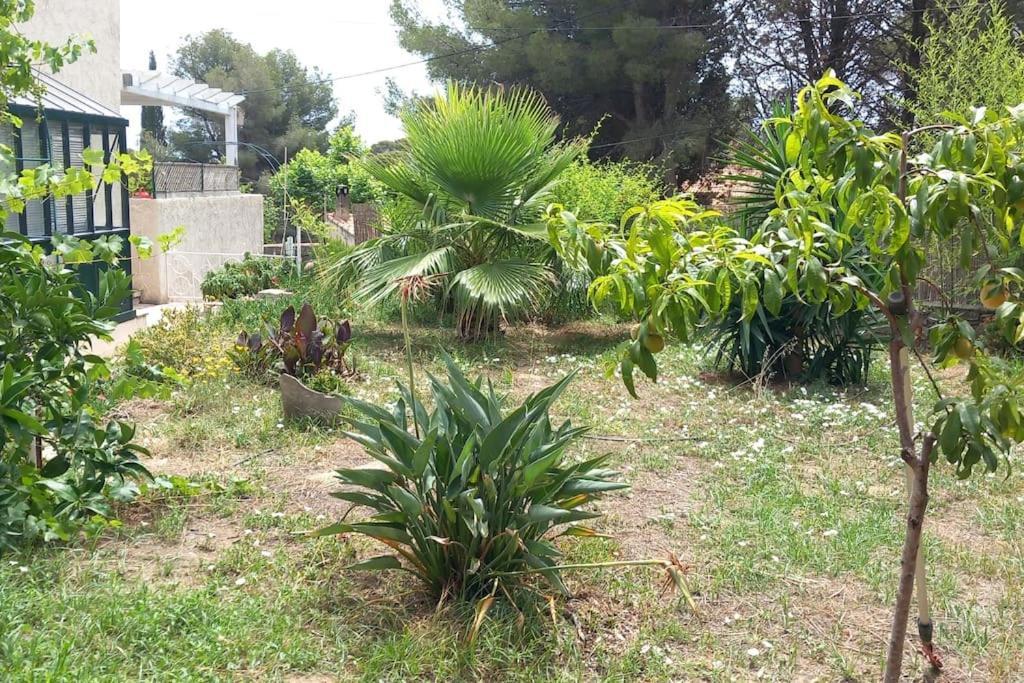 Villa Magali Grande Terrasse Vue Mer, Jardin, Proche Port Λα Σιοτά Εξωτερικό φωτογραφία