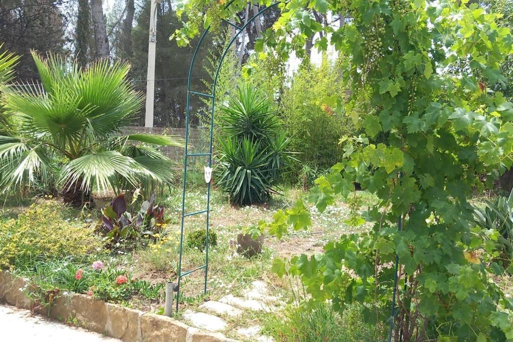 Villa Magali Grande Terrasse Vue Mer, Jardin, Proche Port Λα Σιοτά Εξωτερικό φωτογραφία