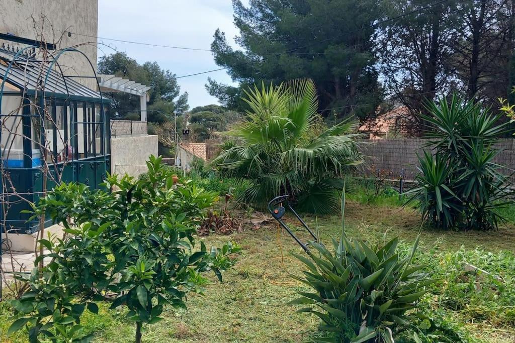 Villa Magali Grande Terrasse Vue Mer, Jardin, Proche Port Λα Σιοτά Εξωτερικό φωτογραφία